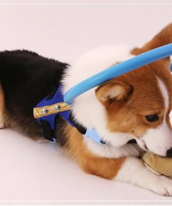 Blind Dog Bumper Collar Harness