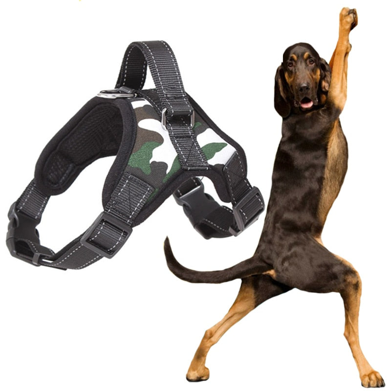 Dog Harness (various styles)