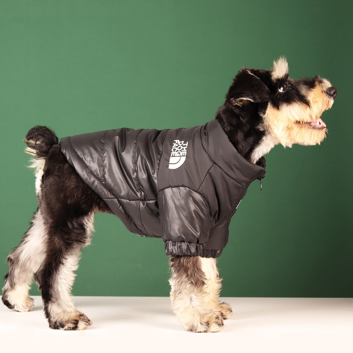 Windproof Reflective Dog Jacket