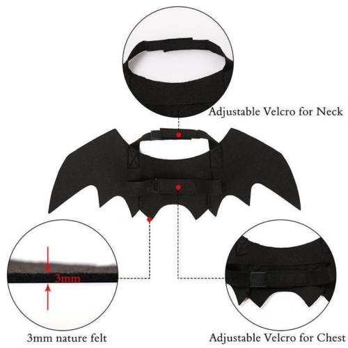 Bat Wings - Halloween Pet Costume
