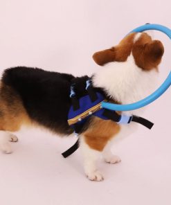 Blind Dog Bumper Collar Harness