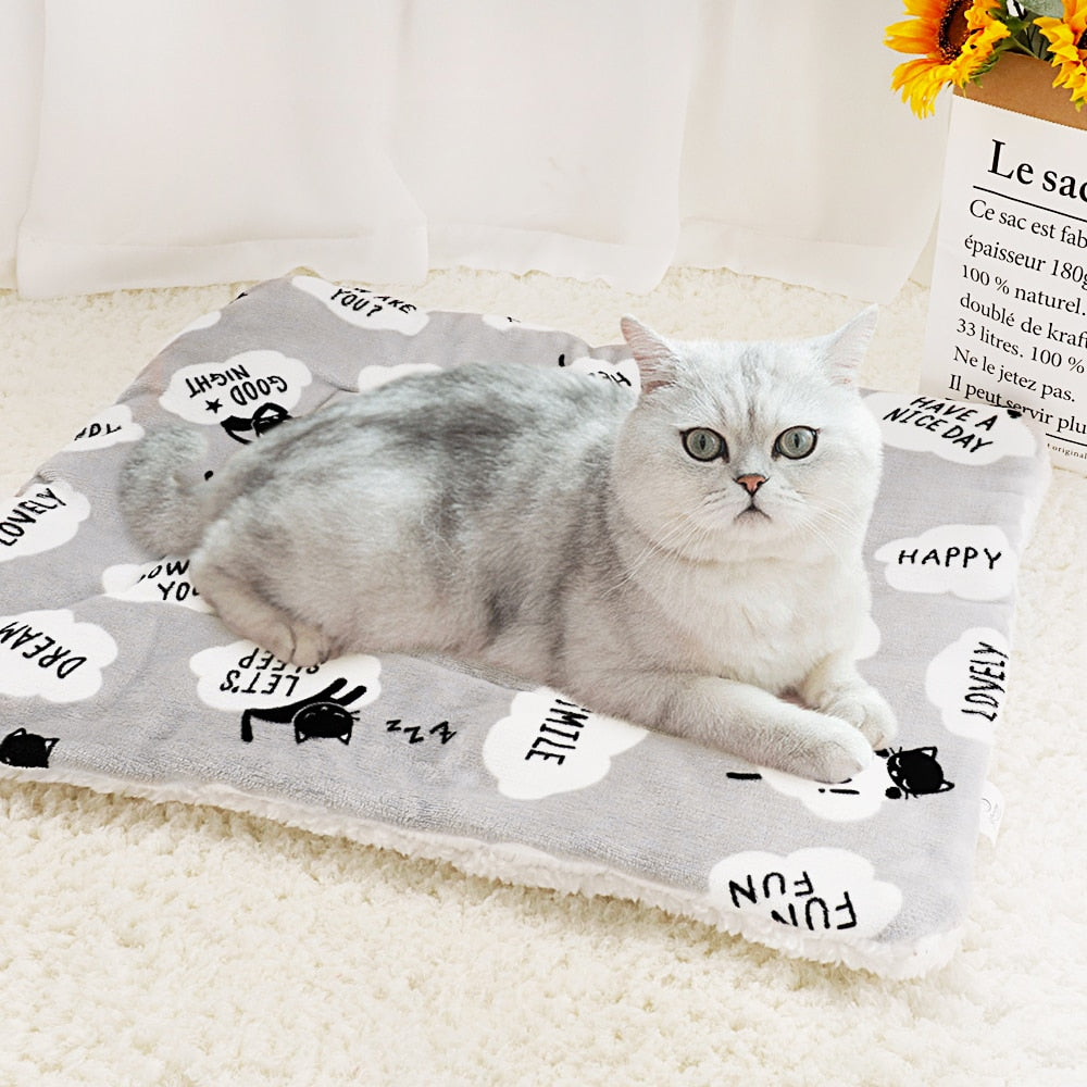 Soft Cat Blanket