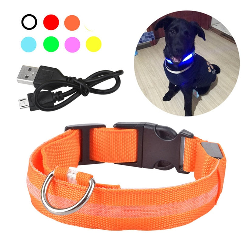 Rechargeable Dog LED Flashing Collar
