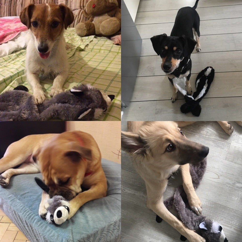 Squeaky Animal-Shape Dog Toys