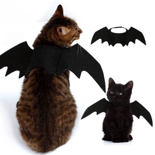 Bat Wings - Halloween Pet Costume