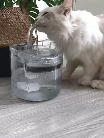 Smart Cat Water Fountain