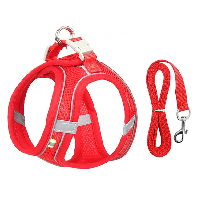 Dog Harness Leash Set for Small Dogs