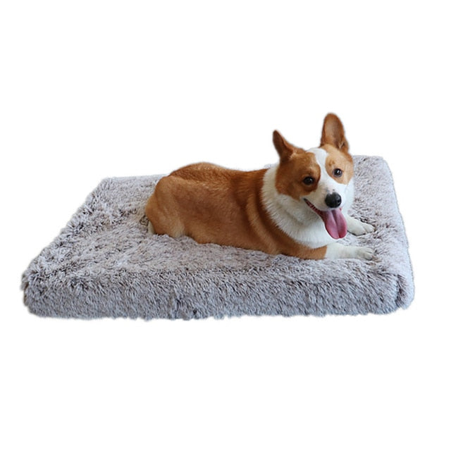 Plush Washable Dog Bed